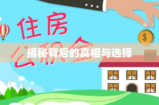 沙市揭秘背后的真相与选择