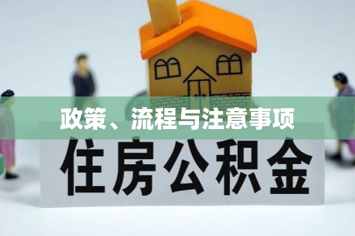 沙市政策、流程与注意事项