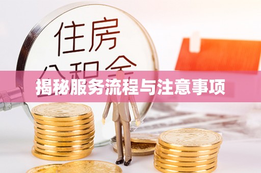 沙市揭秘服务流程与注意事项