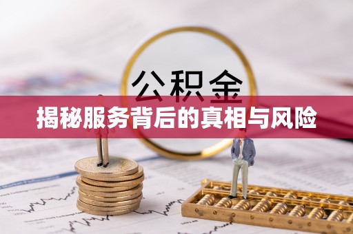 沙市揭秘服务背后的真相与风险