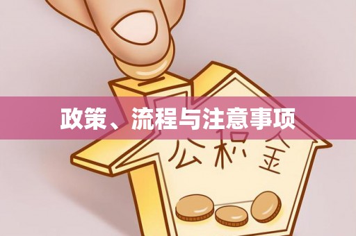 沙市政策、流程与注意事项