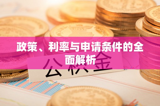 沙市政策、利率与申请条件的全面解析