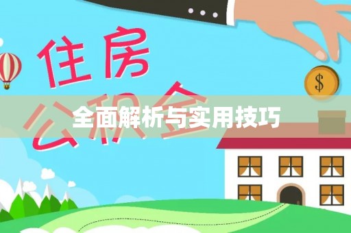 沙市全面解析与实用技巧