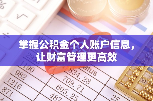沙市掌握公积金个人账户信息，让财富管理更高效