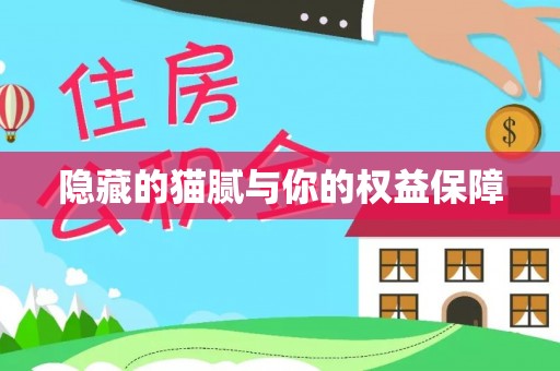 沙市隐藏的猫腻与你的权益保障